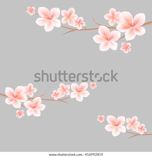 Flowers Background Flowers Design Branch Sakura Nature