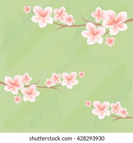 Flowers background. Flowers design. Branches of sakura with flowers. Cherry blossom branches on green color. Vector