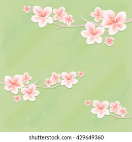Flowers background. Flowers design. Branches of sakura with flowers. Cherry blossom branches on green color. Vector