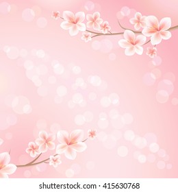 Flowers background. Flowers design. Vector abstract illustration. Sakura blossoms. Branch of sakura with flowers. Cherry blossom branch on pink color. Vector