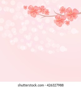 Flowers background. Flowers design. Vector abstract illustration. Sakura blossoms. Branch of sakura with flowers. Cherry blossom branch on pink color. Vector