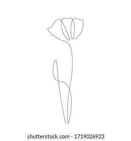 Flowers background design, vector illustration