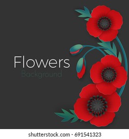 Flowers background with full blown and still blooming red poppies