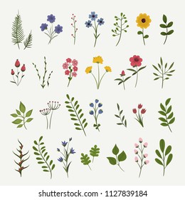 Flowers background illustration. Set of flowers. Spring. Summer.