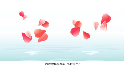 Flowers background. Petals design. Flowers petals falling in water. Roses flying petals. Sakure petals background. Vector