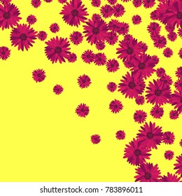 Flowers Background. Placer of Beautiful Lush Gerbers. Pink Daisies. Flowers Background for Postcards, Textiles, Fabric, Tile, Surface Textures, Wrapping Paper. Abstraction from Flowers. Gerbera.