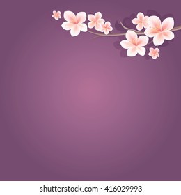 Flowers background. Sakura blossoms background. Branch of sakura with flowers. Cherry blossom branch on dark-violet color. Vector