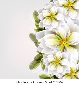 Flowers background vector