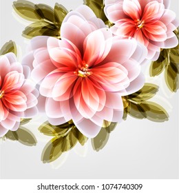 Flowers background vector
