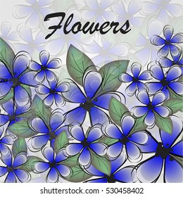 flowers backgrounds