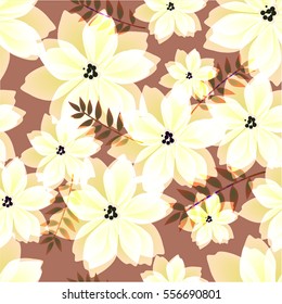 flowers backgrounds
