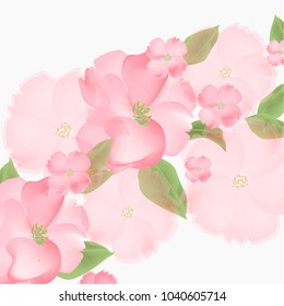 Flowers backgrounds vector