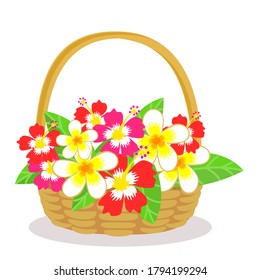 Flowers in the basket vector