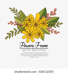 flowers beautiful frame decorative