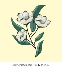 Flowers beautiful nature drawing vector digital image illustration