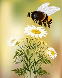 Flowers And A Bee In The Illustration.Vector Illustration With A Big Bee And Wildflowers On A Colored Background.