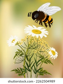 Flowers and a bee in the illustration.Vector illustration with a big bee and wildflowers on a colored background.