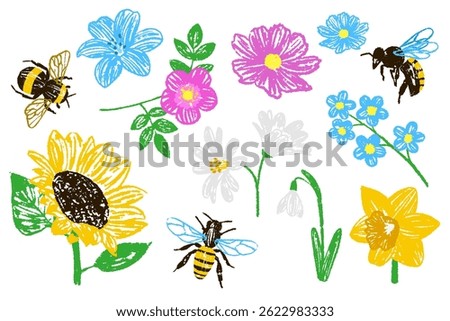 Flowers and bees. Pastel drawings. Vector illustrations with pastel texture. Chalk flowers and bees