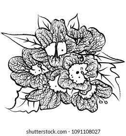 flowers of belladonna on a white background