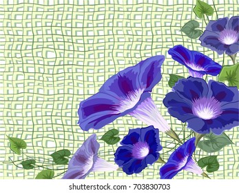 Flowers bells, bindweed, ivy painted white background with bright blue petals and green leaves asymmetric composition vector