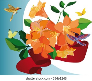 flowers of a bird and the butterfly