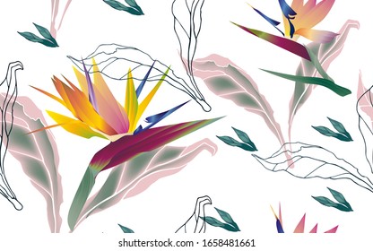 Flowers of bird of paradise, Strelitzia royal with leaves and petals on a white background seamless pattern. Vector illustration with tropical plants.