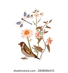 flowers and bird, vector drawing wild plants, dragonfly and goldfinch at white background, hand drawn botanical illustration