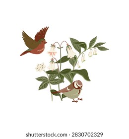 flowers and bird, vector drawing wild plants, chaffinch and tit at white background, hand drawn botanical illustration