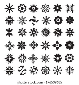 flowers in black