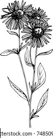 flowers black line
