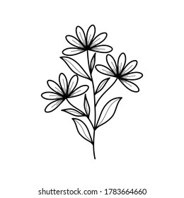 Flowers black line drawing on white background.