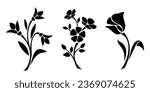 Flowers. Black silhouettes of flowers isolated on a white background. Vector illustrations