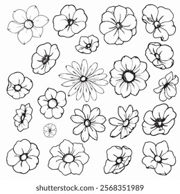 Flowers in black and white graphics