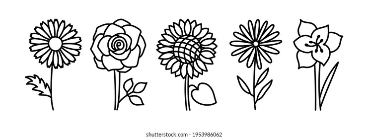 Flowers black and white sketch. Doodle vector set. Hand drawn line floral collection. Chamomile, rose, sunflower, aster and amaryllis svg