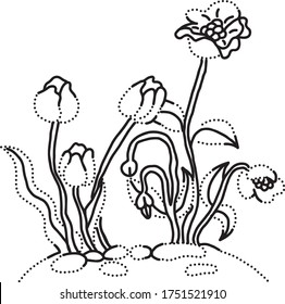 Flores blancas negras coloreadas por puntos.Elemento para pegatinas, tarjetas, diseño.