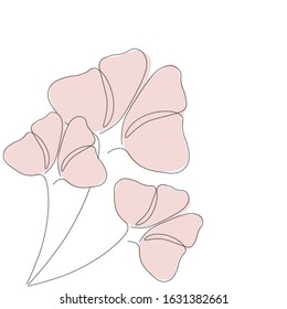 Flowers bloom background design vector illustration