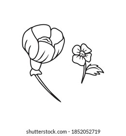 Las flores están en flor. Ilustración botánica vectorial sobre fondo blanco. Para carteles, postales y pegatinas