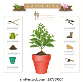 Flowers are blooming in a pot infographics.vector