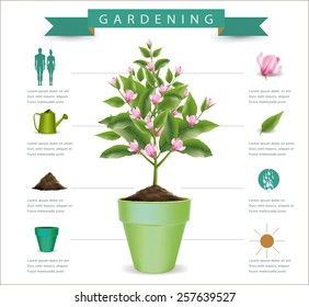 Flowers are blooming in a pot infographics.vector