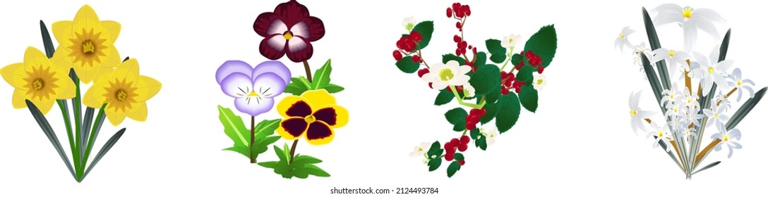 The flowers is blooming in Winter-Daffodil,Pansy,Winterberry,Glory of the snow(Chionodoxa)