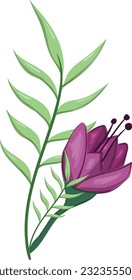Flowers Blooms Long Leaf Weeds