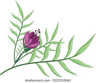 Flowers Blooms Long Leaf Weeds