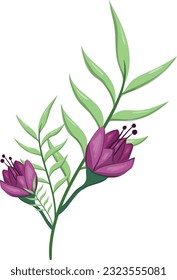 Flowers Blooms Long Leaf Weeds