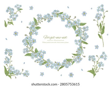 Flowers Blue Spring Wildflowers Close-Up Soft Natural Background