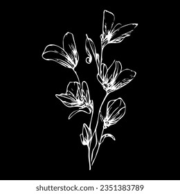 flowers bluebells decorative free line. Vector stock illustration eps10.