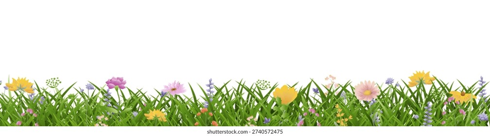 Flowers Border And Grass Isolated White Poster With Gradient Mesh, Vector Illustration