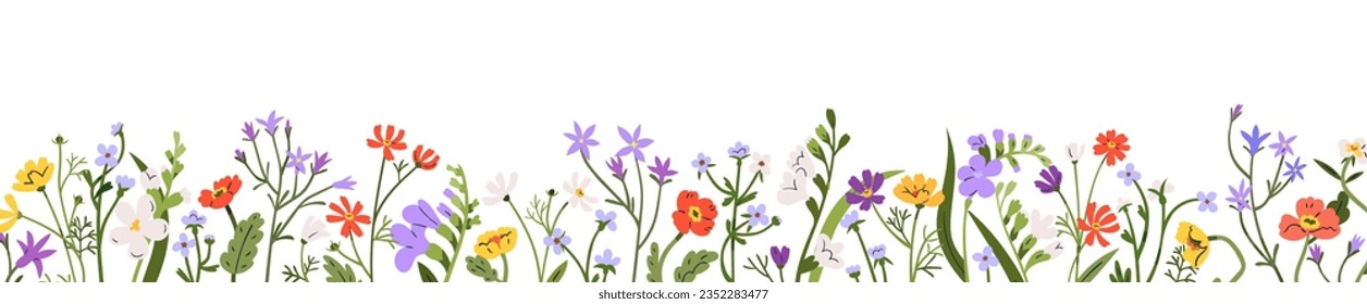 Flowers border. Spring and summer floral plants, garden and meadow blooms. Horizontal botanical decoration. Wildflowers, nature banner. Flat graphic vector illustration isolated on white background