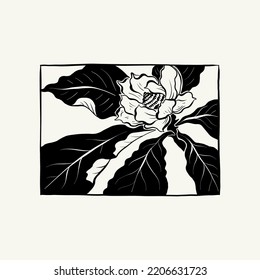 Flowers, Botanica illustration. Black ink, line, doodle style. 