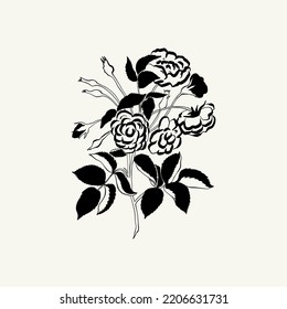 Flowers, Botanica illustration. Black ink, line, doodle style. 