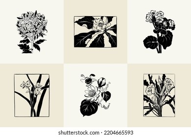 Flores, colección de ilustraciones de Botánica. Tinta negra, línea, estilo doodle. 